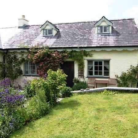 Villa Parc Y Brenin à Dryslwyn Extérieur photo
