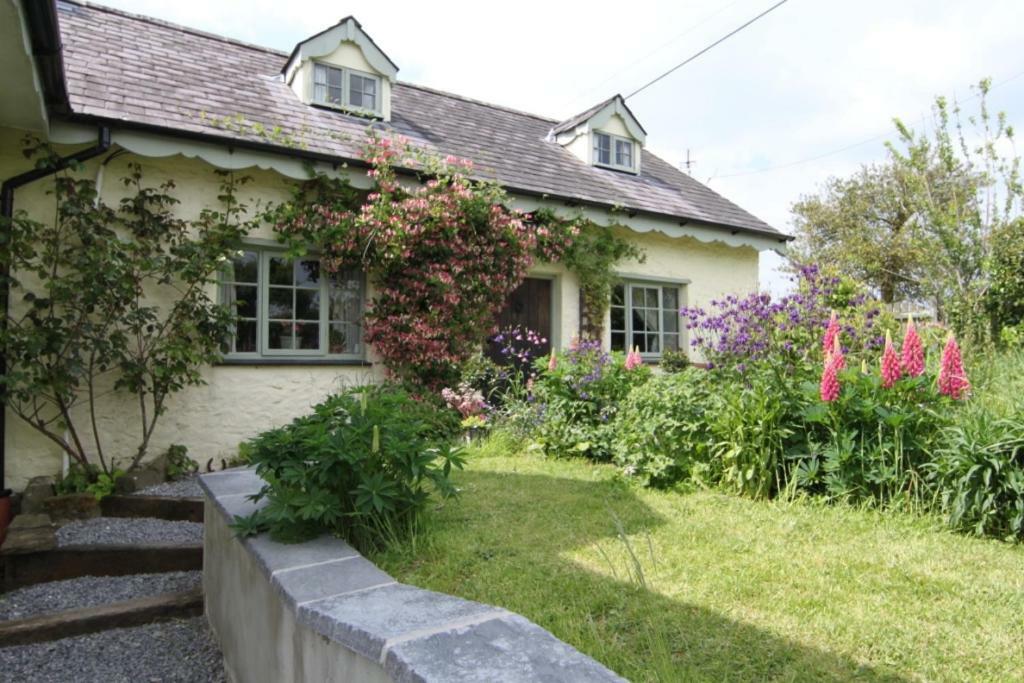 Villa Parc Y Brenin à Dryslwyn Extérieur photo