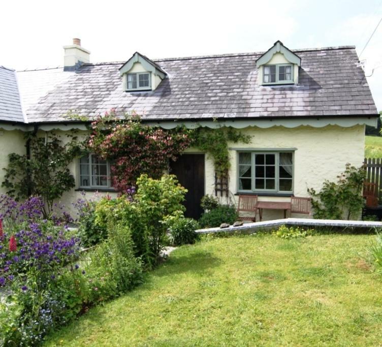 Villa Parc Y Brenin à Dryslwyn Extérieur photo