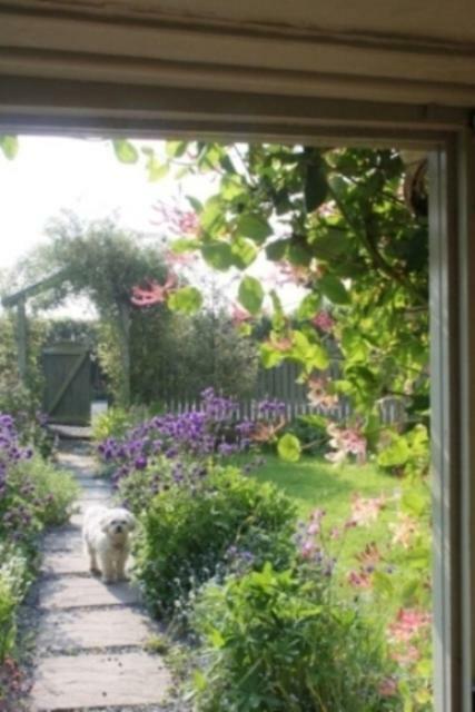 Villa Parc Y Brenin à Dryslwyn Extérieur photo